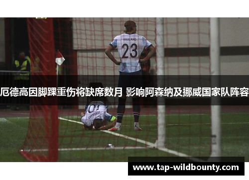 厄德高因脚踝重伤将缺席数月 影响阿森纳及挪威国家队阵容